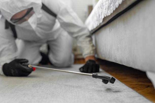 Professional Termite Control technician working in Byram, MS
