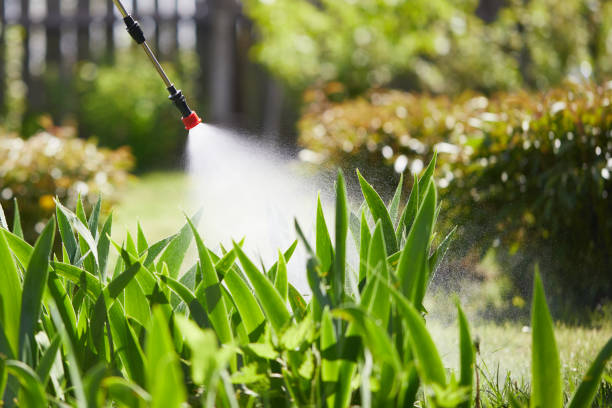24/7 Emergency Termite Control experts in Byram, MS